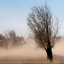 Alerta por vientos fuertes en los Valles Calchaquíes y la Puna