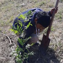 Alumnos de una técnica de Cerrillos plantaron 200 árboles