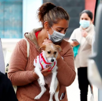 Rosario de la Frontera abrirá una moderna Clínica Veterinaria Gratuita