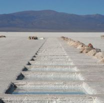 Innovador proyecto de la UNSa para la industria del litio en la provincia