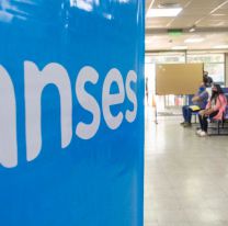 ANSES: chequeá con el DNI si cobrás $12.000 en lugar del IFE