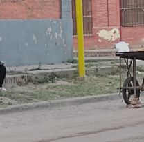 Salteño estudia y vende pancito para ayudar a su familia