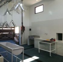 Habilitaron en Seclantás un matadero provincial para cabritos y ovejas