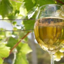 Se viene la “Semana del Torront&eacute;s” de altura en Salta