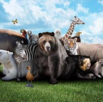 Día de los Animales: ¿por qué se celebra hoy, lunes 4 de octubre?