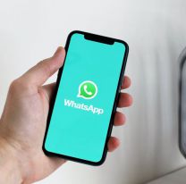 Volvió WhatsApp