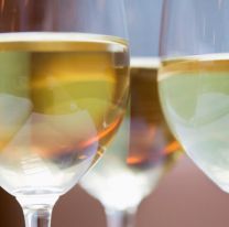 <p>Glasses of white wine</p>
