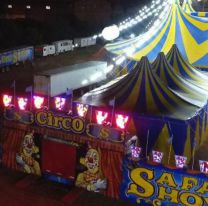 ES FUROR | El Circo Safari volvió a Salta con un espectáculo imperdible