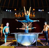 ÉXITO TOTAL | El Circo Safari volvió a Salta con un espectáculo único