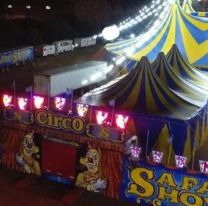 IMPERDIBLE | El Circo Safari te espera con muchas sorpresas y su nuevo show