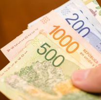 Becas Progresar: con tu DNI, chequeá si cobrás el bono de noviembre