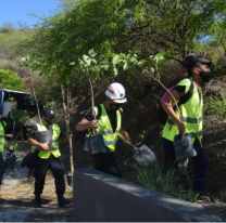 Jornadas de plantación masiva en el cerro San Bernardo