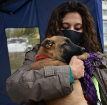 La campaña de vacunación antirrábica se traslada a San José, Sta Lucía y villa Primavera