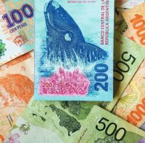 ANSES pagar&aacute; hasta $35.000: qui&eacute;nes lo cobran y c&oacute;mo acceder