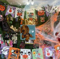 Concurso de disfraces de Halloween para mascotas, habrá grandes premios