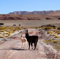 Jasimaná llega al Mercado Artesanal