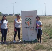 Se crean microbosques en zona Norte con diversas plantaciones de árboles