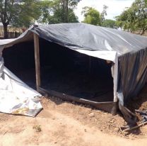 Rescataron a 41 personas explotadas laboralmente en el norte de Salta