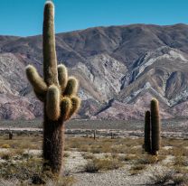 6 de noviembre: D&iacute;a de los Parques Nacionales