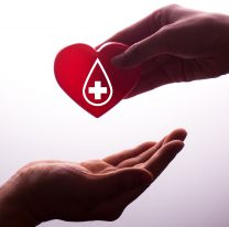 <p>A hand gives a red heart to a hand – blood donation,world blood donor day</p>