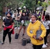Nueva jornada de forestaci&oacute;n en el cerro San Bernardo