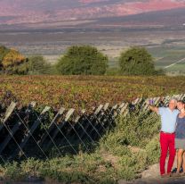 Salta es el segundo destino más visitado dentro del circuito nacional de enoturismo