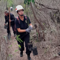 Finalizó la plantación de nuevos árboles en el cerro San Bernardo