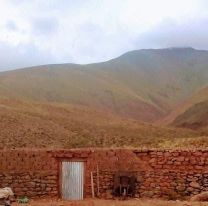 Un alba&ntilde;il de Salta mont&oacute; el segundo invernadero m&aacute;s alto del mundo