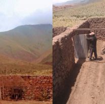 Un albañil salteño montó el segundo invernadero más alto del mundo