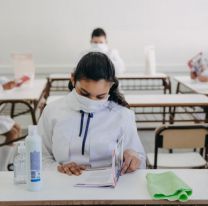 Aseguran que ningún alumno se llevó materias en el 2020