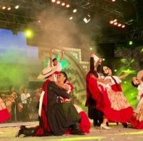 Salta en Cosquín: te contamos qué artistas serán parte de la delegación