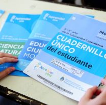 “Aprender en Salta”: m&aacute;s de 25 mil chicos deben rendir la prueba