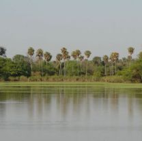La reserva &#8220;Los Palmares&#8221; alcanzó la categoría de Parque Provincial