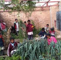 Es una escuela rural de Salta, caminan 2Km para llegar y tuvo deserci&oacute;n 0 en pandemia