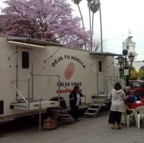 Salta será parte de la Jornada Latinoamericana de Donación de Sangre