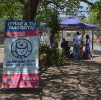 Finaliza la campa&ntilde;a de vacunaci&oacute;n antirr&aacute;bica 2021 en la ciudad