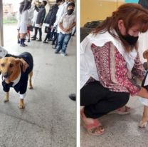 ?Jason?, el callejerito que se gan&oacute; el amor de toda una escuela y tuvo su acto de fin de a&ntilde;o