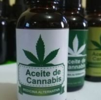 Salteños cruzan a Jujuy para comprar cannabis medicinal: cuánto sale allá