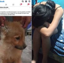 Por la pirotecnia, las redes se llenaron de perros perdidos en Salta