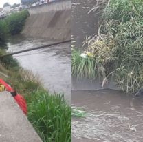 Bomberos salvaron a un perrito que cay&oacute; en el canal de Av. Yrigoyen