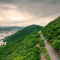 Nueva jornada de plantación y ecolimpieza en el cerro San Bernardo