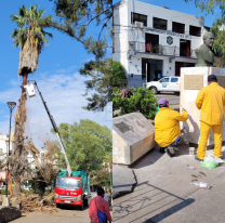 Se fueron los feriantes de Plaza Francia y comenzaron las tarea de reparación
