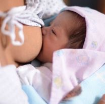 Las mujeres vacunadas transmiten anticuerpos a los bebés amamantados