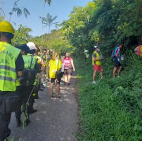 Se plantaron 40 árboles en el cerro San Bernardo
