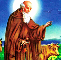 Hoy se celebra la fiesta de San Antonio Abad, copatrono de los animales