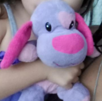Se ofrece $10.000 a quien encuentre el peluche perdido de su hija hace dos años