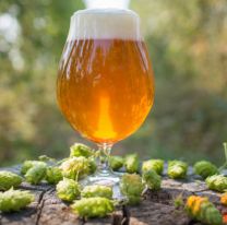 19 de enero: “D&iacute;a del Trabajador Cervecero”