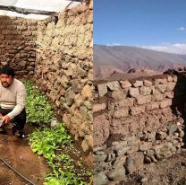 Récord en las alturas: un salteño construyó el segundo invernadero más alto del mundo