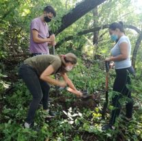 Se plantaron 730 nuevos árboles en el cerro San Bernardo