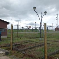 Avanza la construcción de una huerta agroecológica en barrio Bicentenario